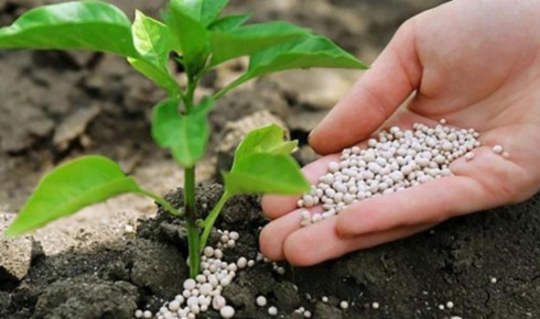 EDTA exporters