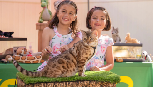 Animal Birthday Party