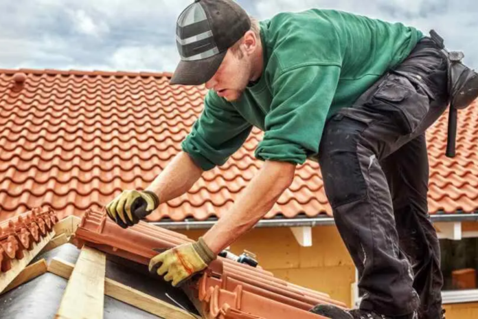 pre-purchase roof checks